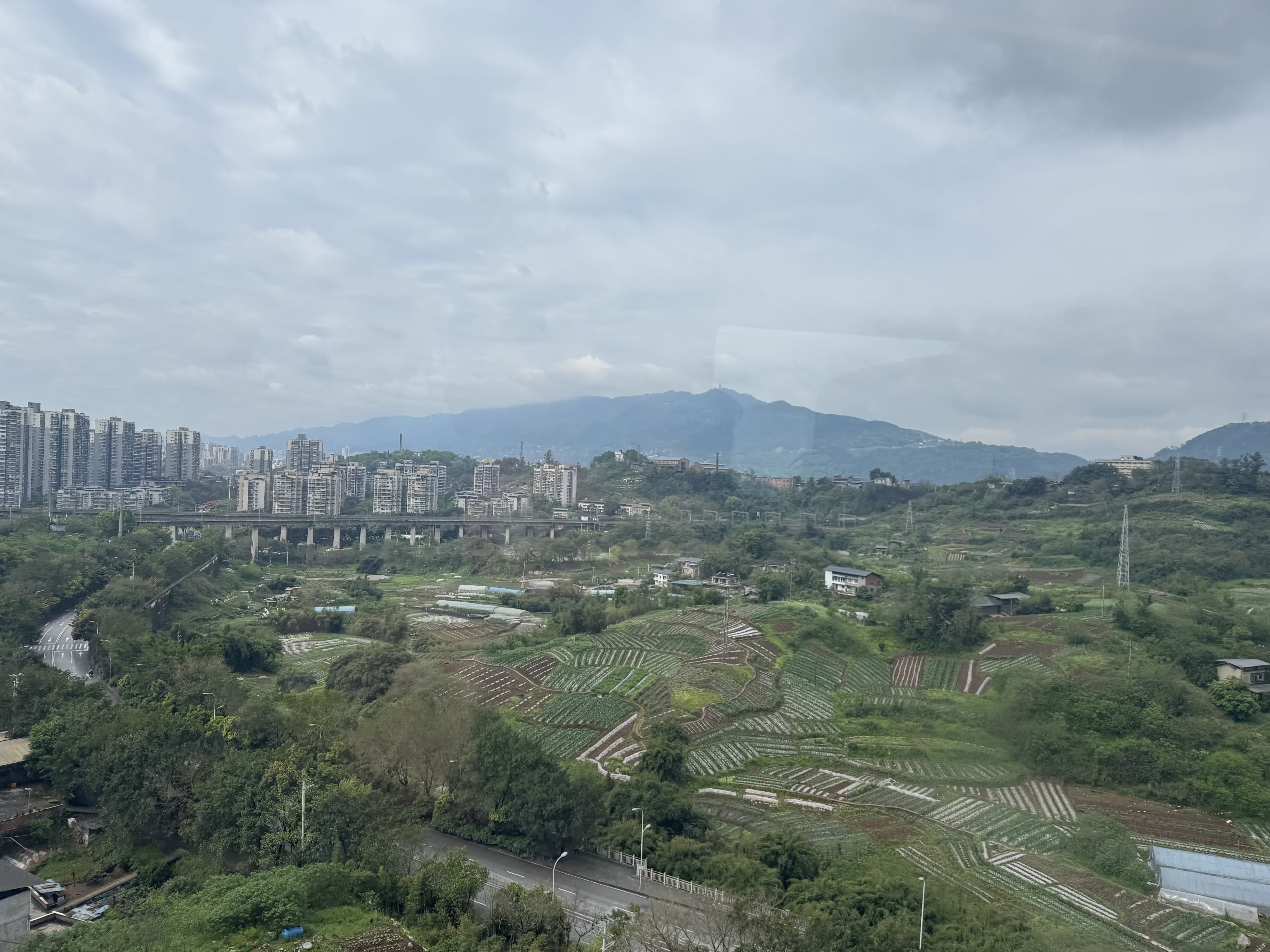 The view from the train