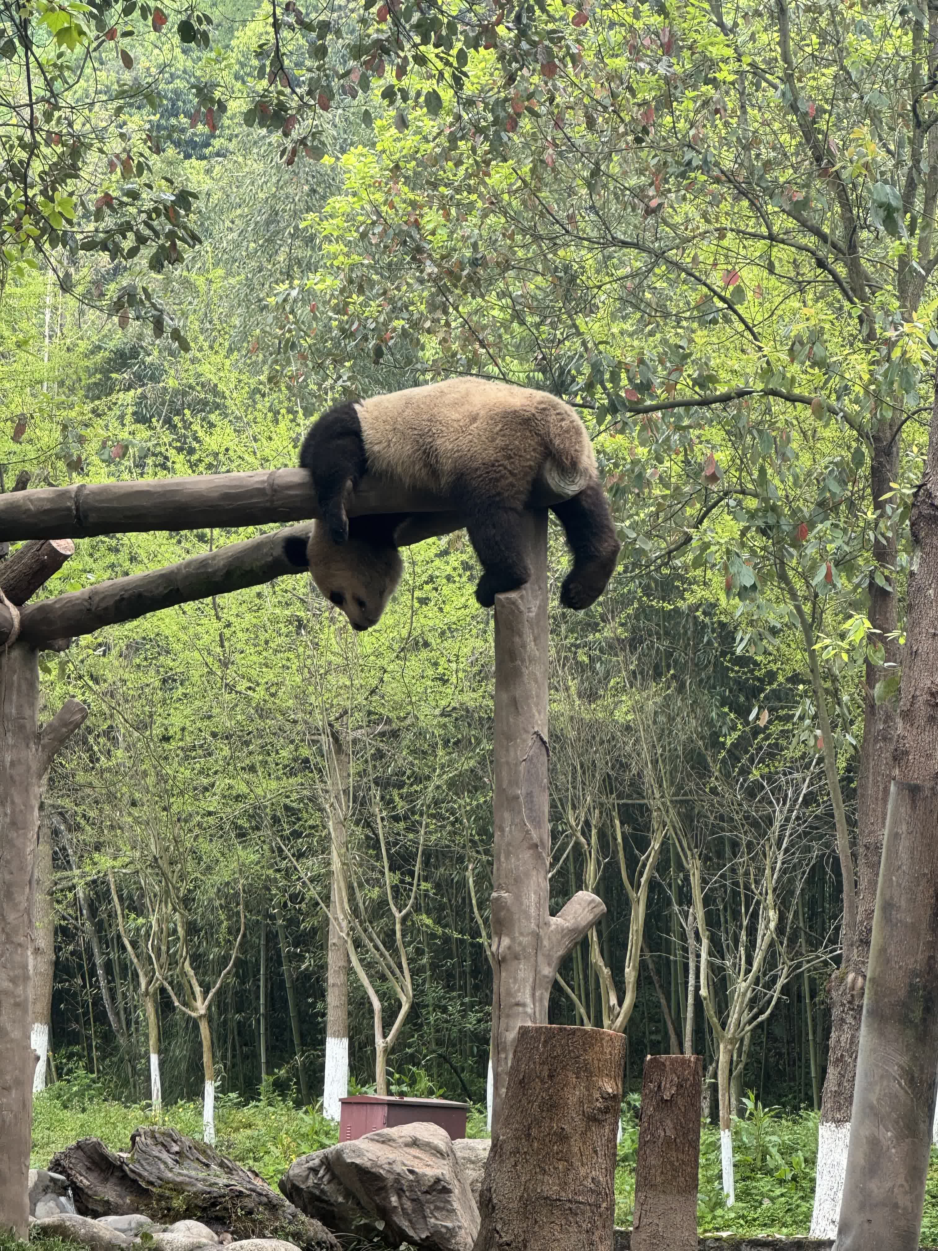 Now I want to nap here