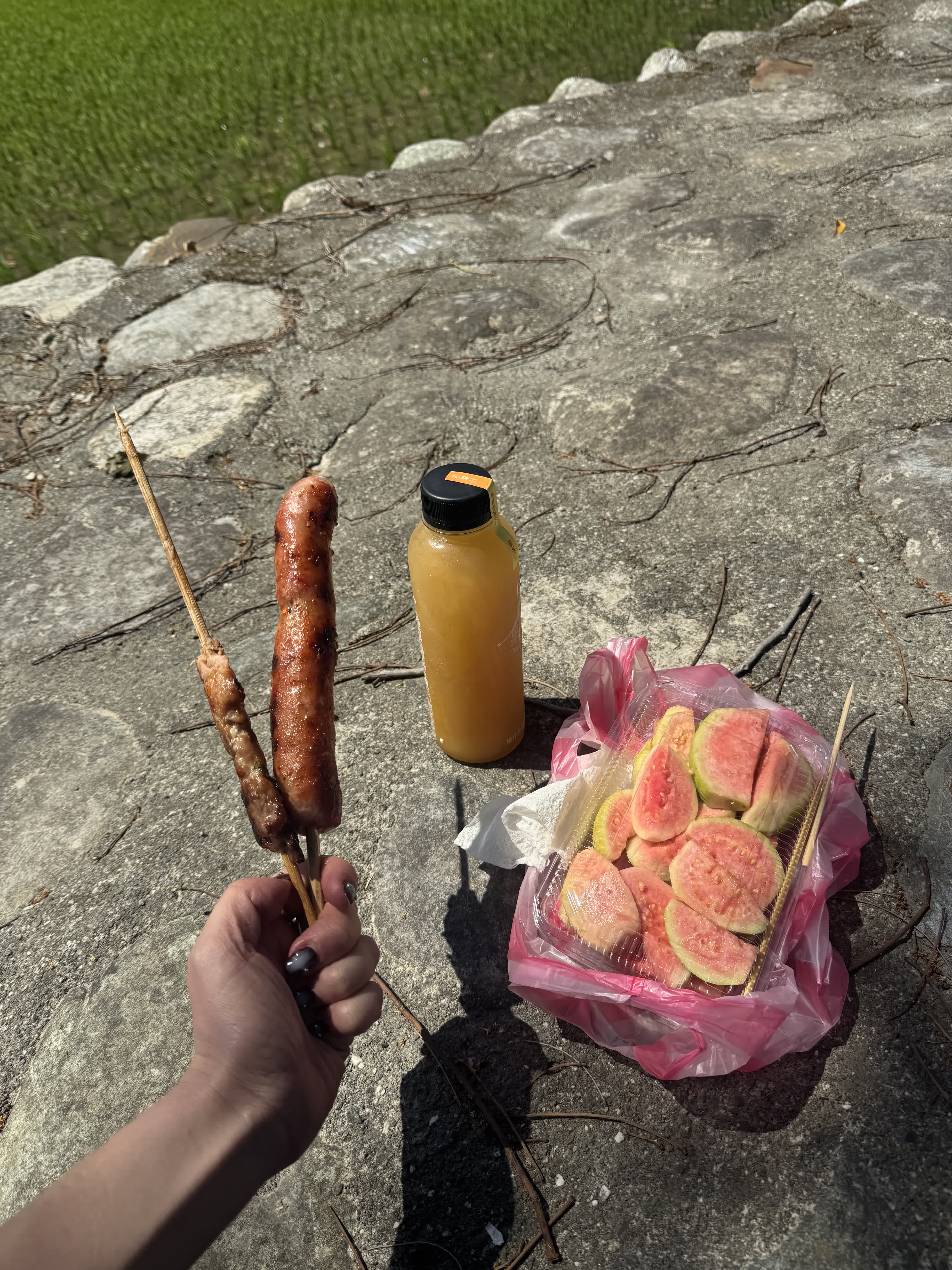 Roadside market lunch of guava and assorted skewers