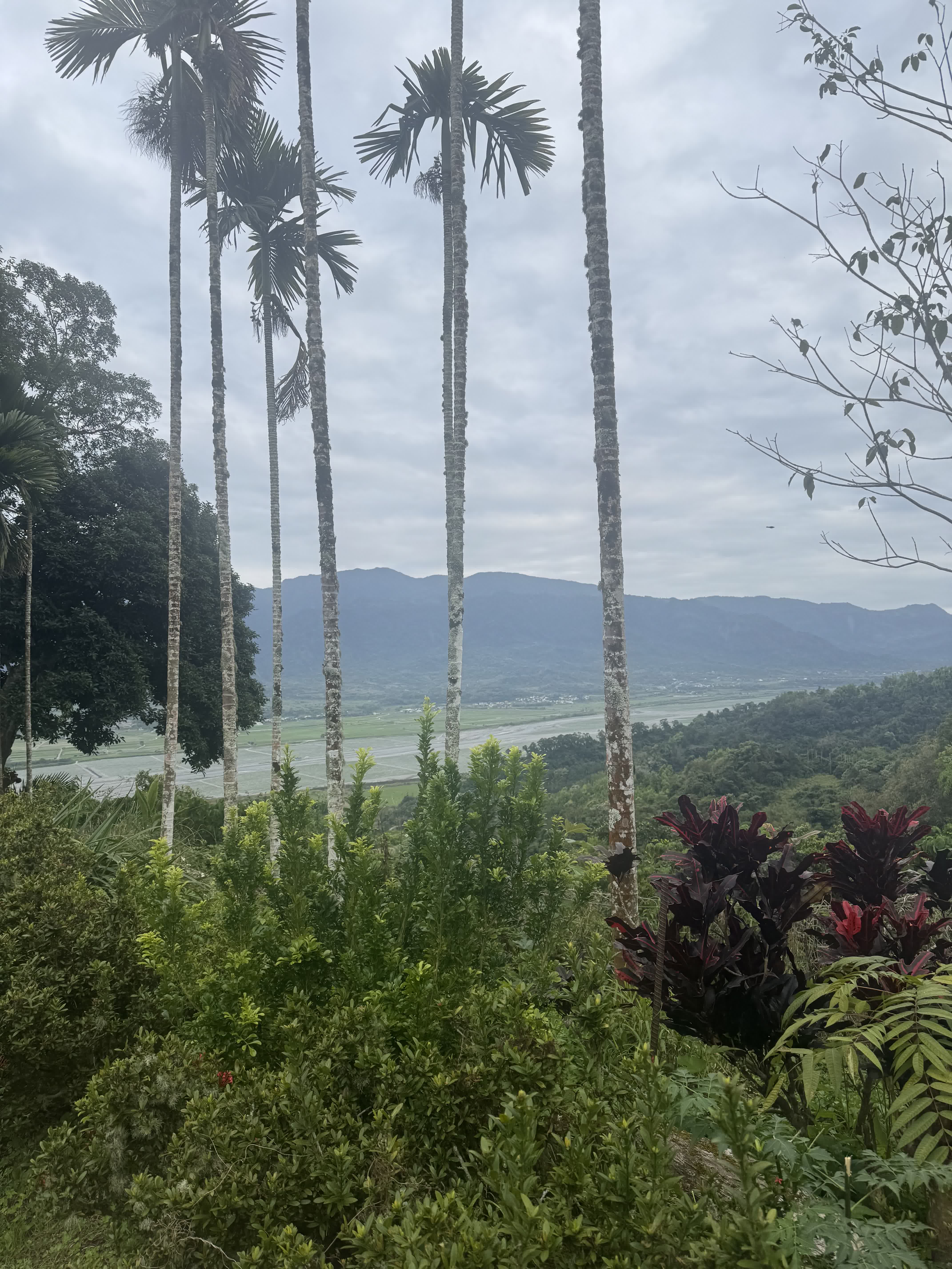 Homestay garden views