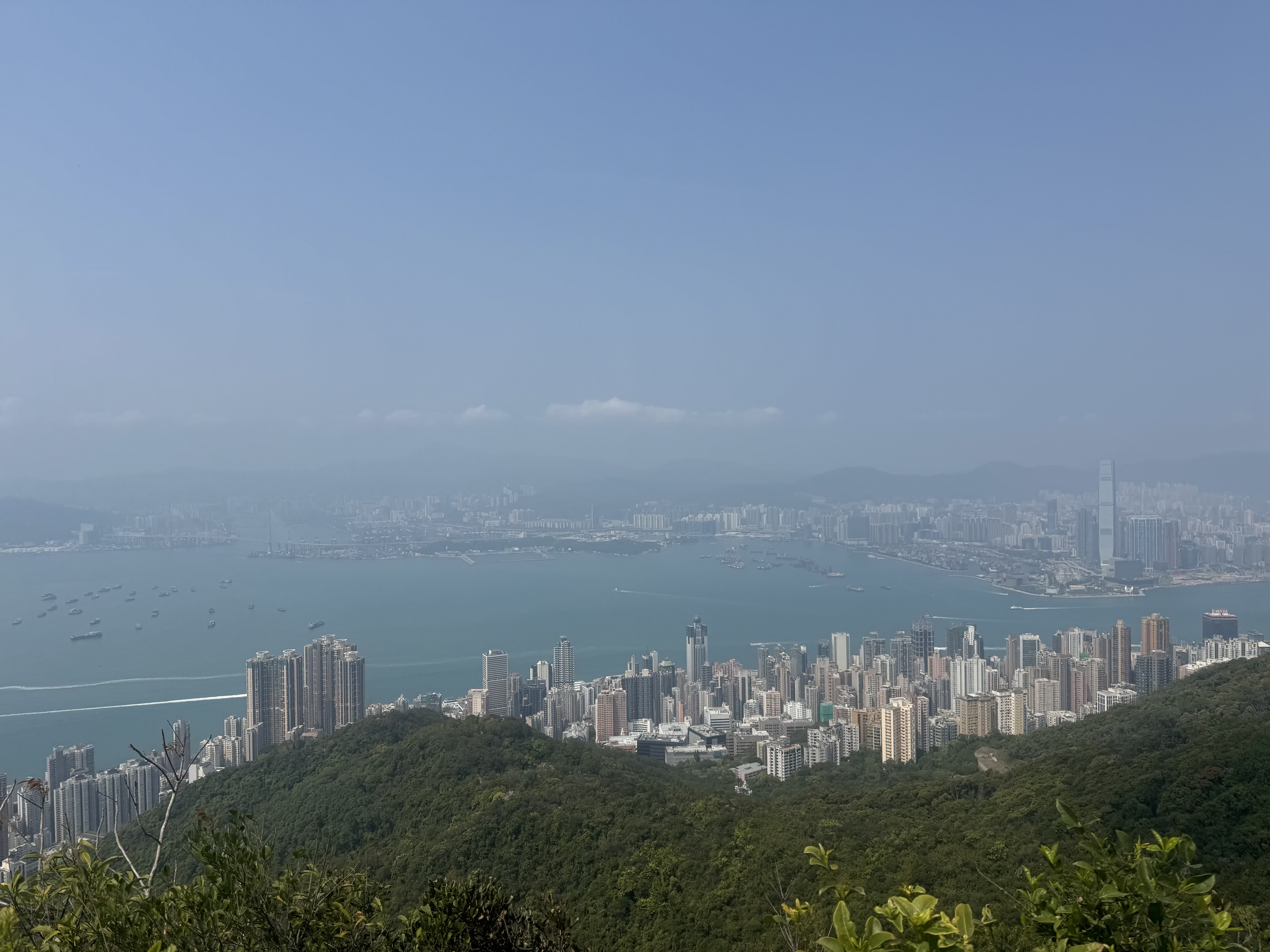 View from the morning trail