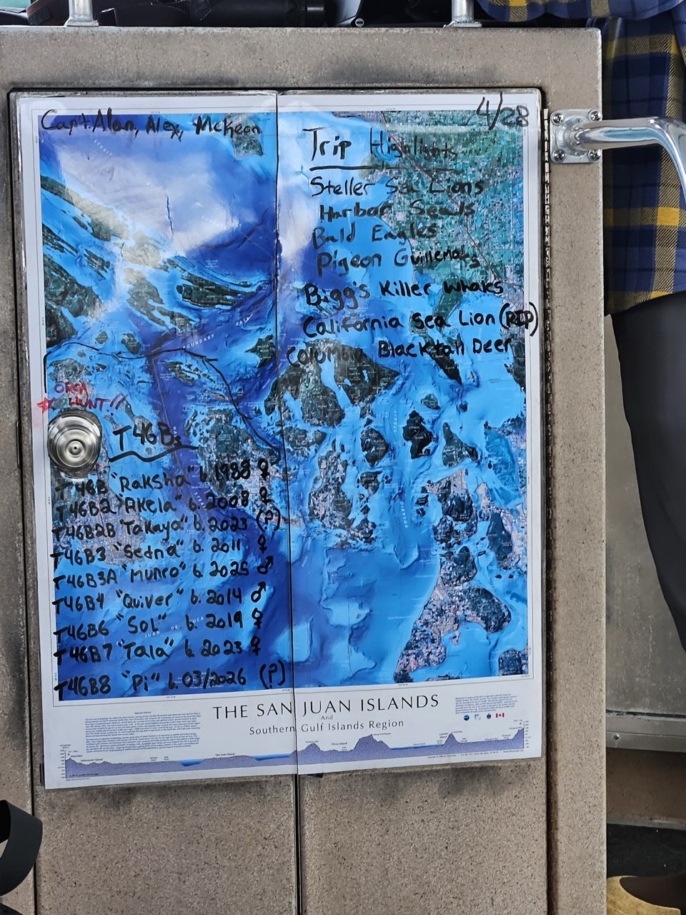 All the creatures (and specific whales) we spotted
