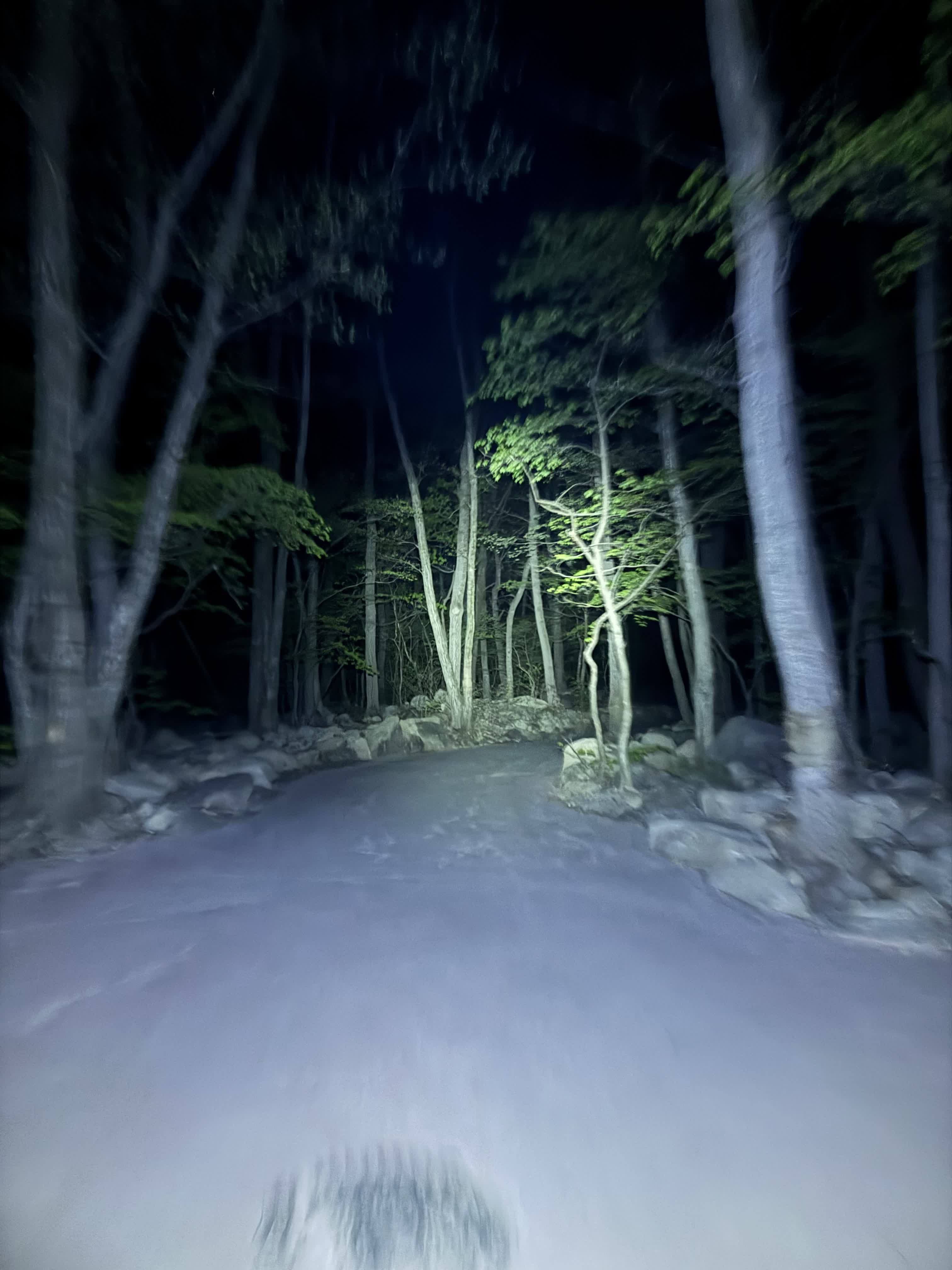 a little Blair witch energy